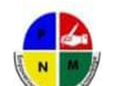PNM Consultancy Services logo